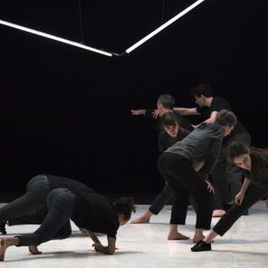 Une maison, chorégraphie de Christian Rizzo, Théâtre national de Chaillot / Théâtre de la Ville Hors les Murs