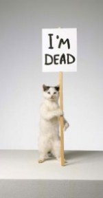 Des artistes appellent Londres à renoncer aux coupes dans la culture