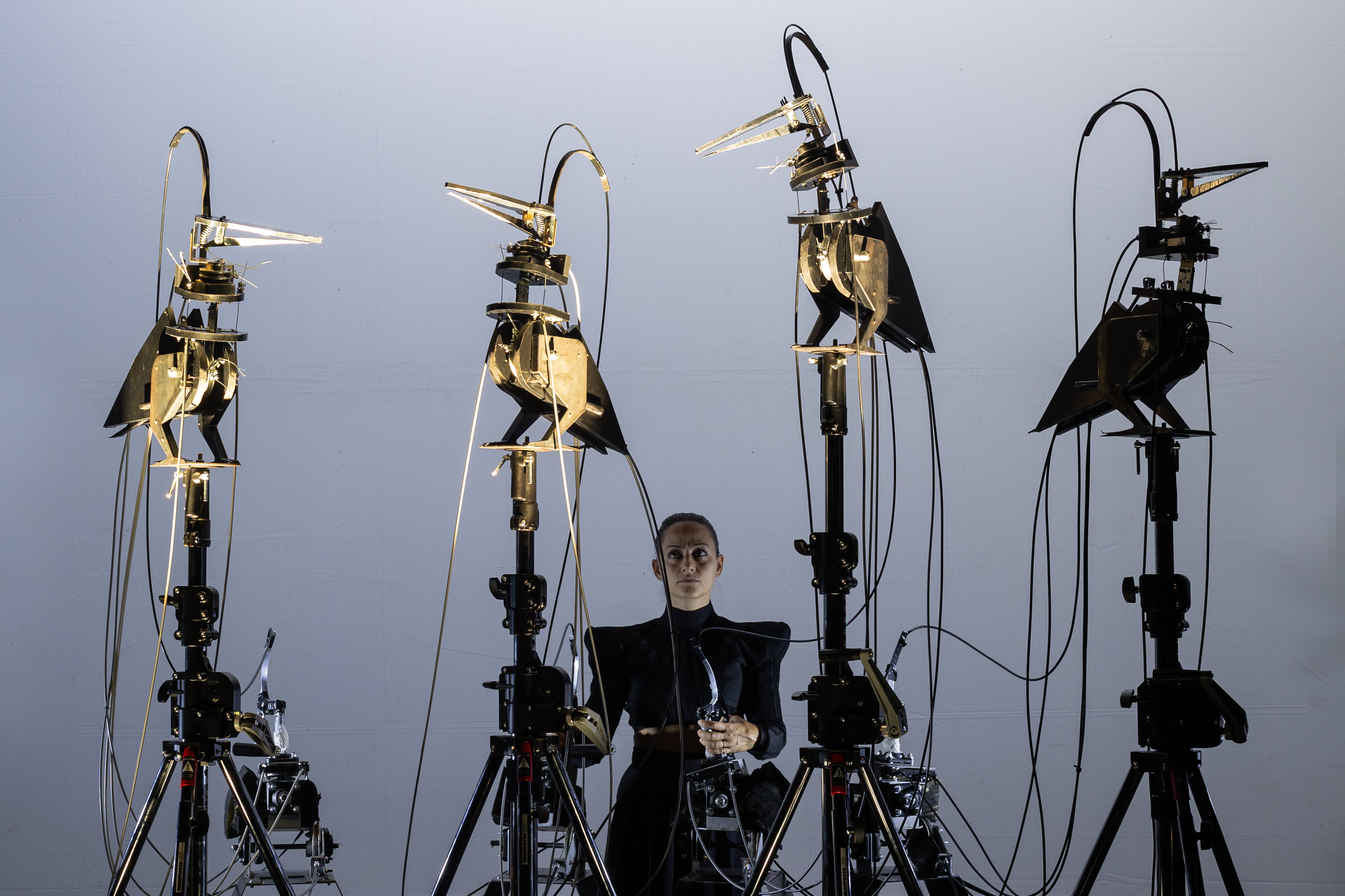 Corvidae, quand les espèces se regardent, de et par Marta Cuscunà, au TDV- Les Abbesses / Chantiers d’Europe