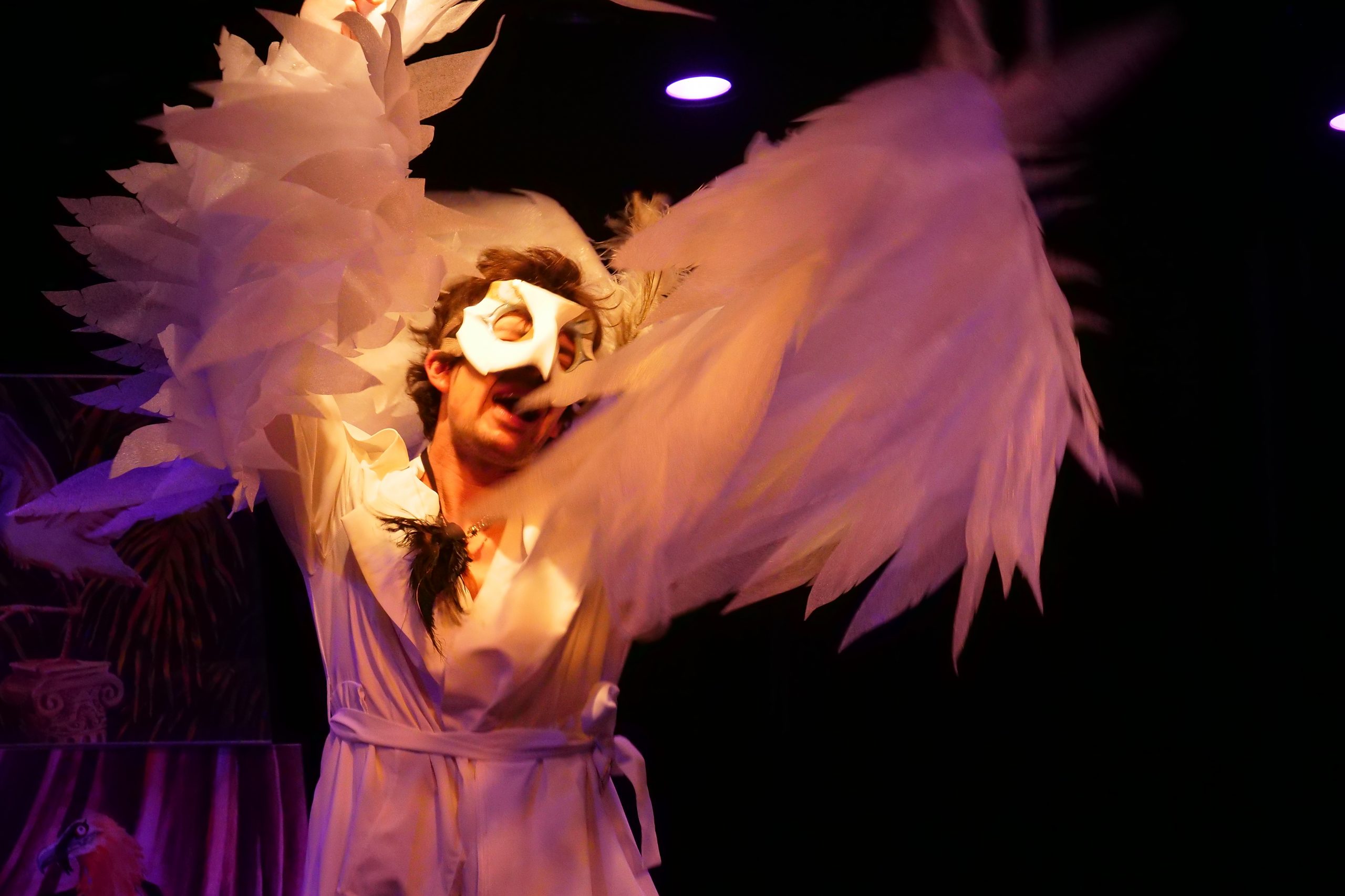 Drôle d’oiseau, écrit et interprété par Léonard Boissier, mise en scène de Clara Rozzi, La Comédie des 3 Bornes